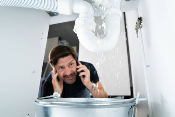 Best Plumbing Services Near Me  in Shoreview, MN