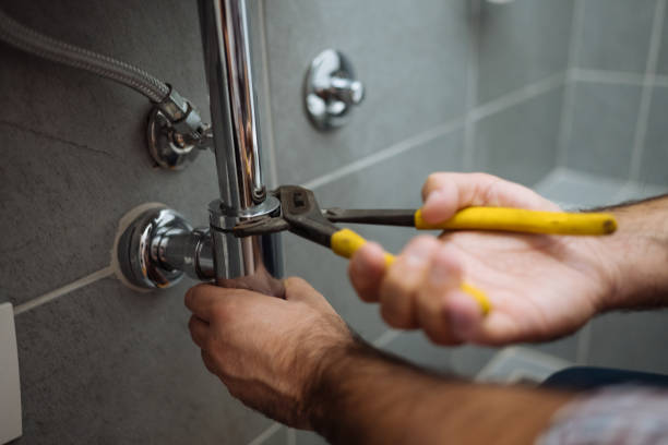 Best Clogged Drain Plumber  in Shoreview, MN